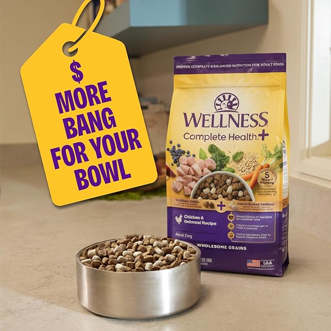 Wellness Complete Health+ Dry Dog Food, Adult Small Breed Turkey & Oatmeal Recipe with Freeze-Dried Wellbites (3.75 Pound Bag)