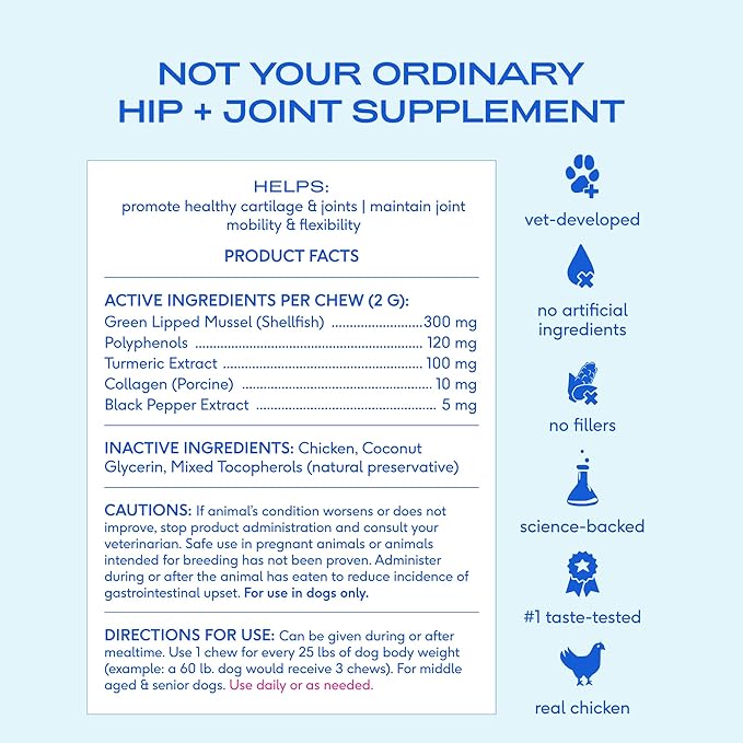 Native Pet Inflammatory Care - Pain Relief for Dogs - Green-Lipped Mussel, Turmeric & Collagen for Dogs - Hip and Joint Supplement Supports Healthy Inflammatory Response & Joint Comfort - 60 Chews