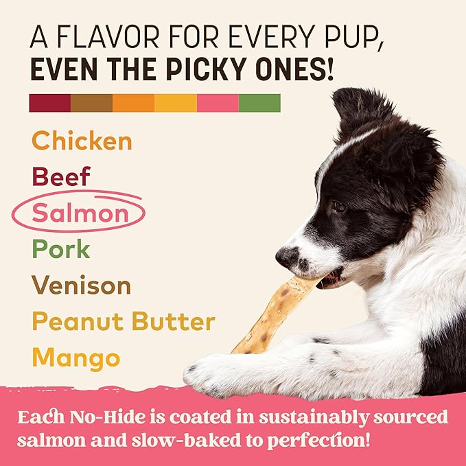 Earth Animal No Hide Strips - Natural Rawhide Free Dog Chew Strips, Salmon - 10 Count Value Pack