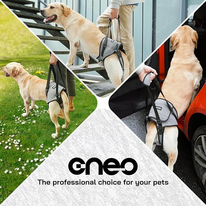 CNEO Dog Lift Harness, Dog Sling for Medium Large Dogs, Adjustable Dog Support Harness for Back Legs, Comfy Design Pet Harness with Padded for Elderly, Injured, Arthritic, Senior, Disabled Dogs