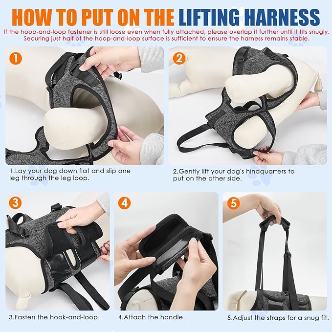 SlowTon Dog Lift Harness - Adjustable Dog Sling for Medium Large Dogs, Hind Leg Support to Help Rehabilitate, Soft Padded Dog Support Harness for Elderly, Injured, Arthritic, Disabled Dogs, XL
