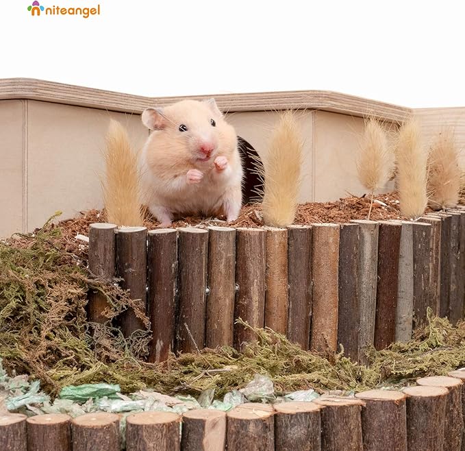 Niteangel Wooden Ladder Bridge, Hamster Mouse Rat Rodents Toy, Small Animal Chew Toy (11.8" x 5.9")