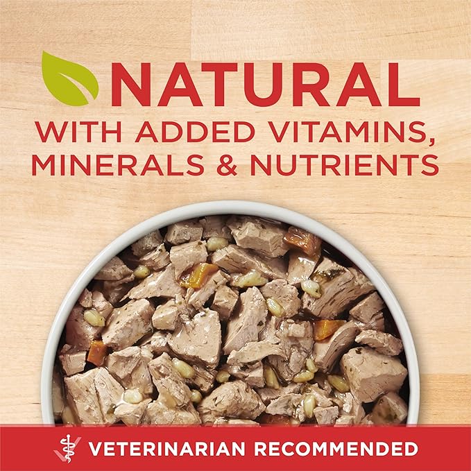 Purina ONE Tender Cuts Skin & Coat Chicken & Brown Rice Wet Dog Food - (Pack of 12) 13 oz. Cans