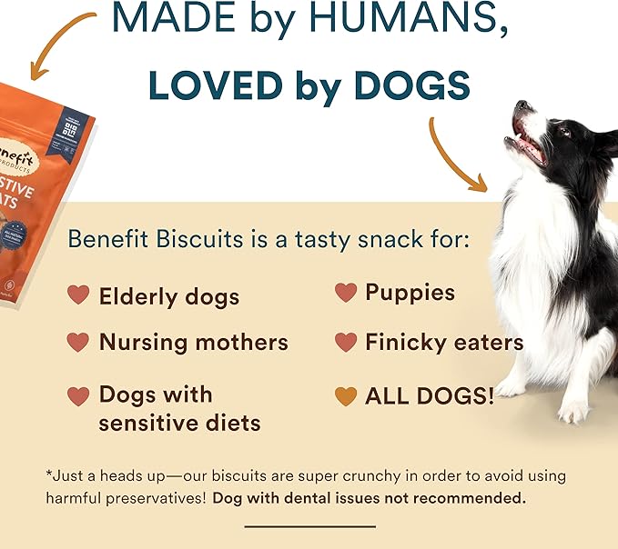 Benefit Biscuits, All Natural Dog Treats, Certified Vegan, Non GMO, Wheat Free, Healthy Dog Biscuits, Made in USA (Pumpkin, 7oz Bag)