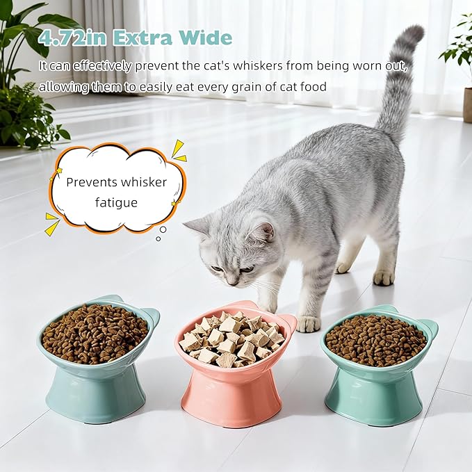 KSIA Klear Elevated Cat Bowls 2 Pack, Tilted Raised Cat Bowls for Indoor Cats, for Food and Water, 4.72" Wide, Whisker Friendly Anti Vomit for Indoor Cats, Microwave and Dishwasher Safe, Blue&Green