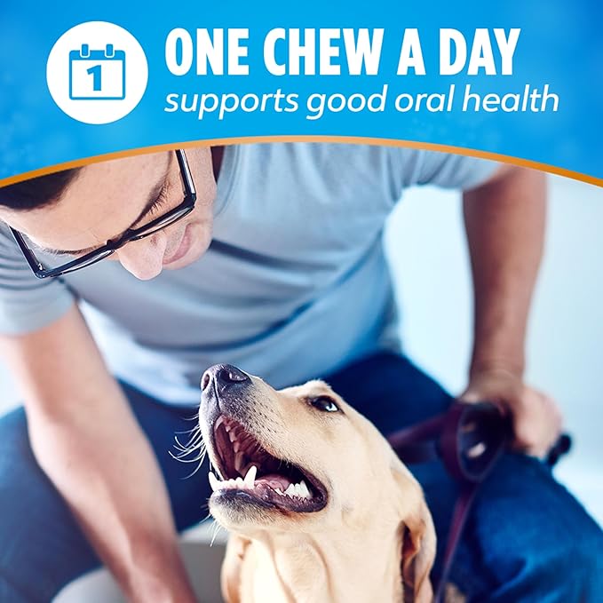 DentaLife Plus Immune Support Treats for Large Dogs 40 lbs. and Over, Supports Clean Teeth and Fresh Breath, Chicken, Apple & Blueberry Flavor - 19 ct. Pouch