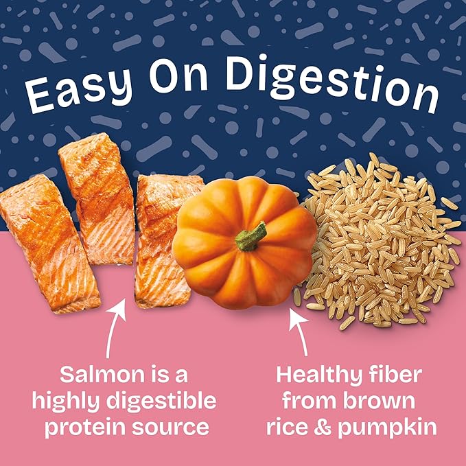 Natural Balance Health Protection Wet Dog Food - Whole Body Health, Easy on Digestion, Salmon Broth, Salmon, Pumpkin & Brown Rice Stew, Digestive Wellness Dog Food, High in Fiber - 12.5oz (Case of 6)
