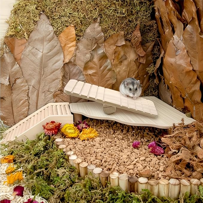2-in-1 Wooden Hamster Platform & Seesaw Set - Natural Pine Small Animal Climbing Toy & Cage Accessories for Syrian Hamster, Gerbil, Mouse, Rabbit Habitat Enrichment (Bridge/Maze/Wheel/Hide Compatible)