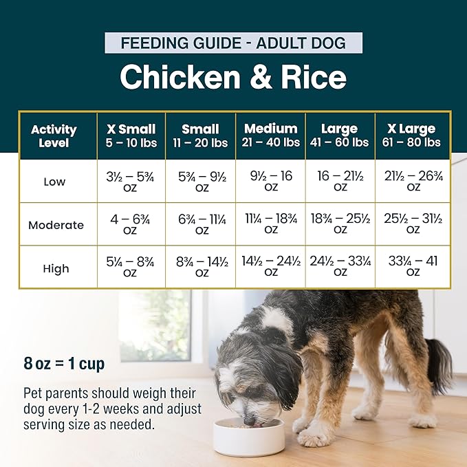 JustFoodForDogs Frozen Fresh Dog Food, Complete Meal or Dog Food Topper, Chicken & Rice Human Grade Dog Food Recipe, 72 oz (Pack of 7)