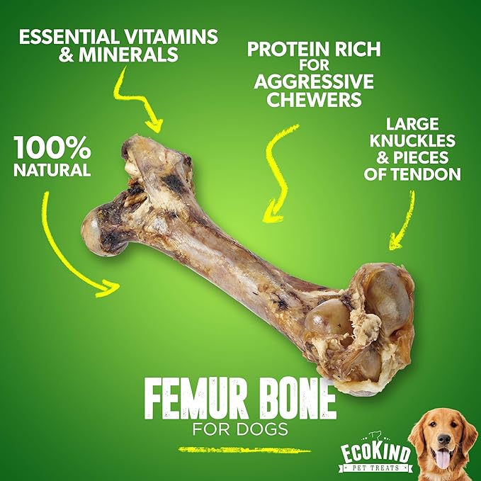 EcoKind Dog Bone Giant Femur Bone for Dogs | 1 Bone | Long Lasting Mammoth Dog Bones for Aggressive Chewers, Rawhide Free Healthy Dog Treat, Large Bones, Digestible Dog Chews & USDA Certified