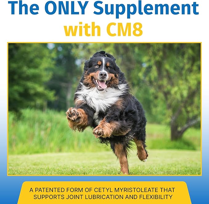 Hip & Joint Supplement for Dogs & Cats with Cetyl Myristoleate, Glucosamine, Collagen, MSM - Advanced Joint Support for Mobility, Senior Pets, Small & Large Breeds - 180 Tablets (Pork Liver)