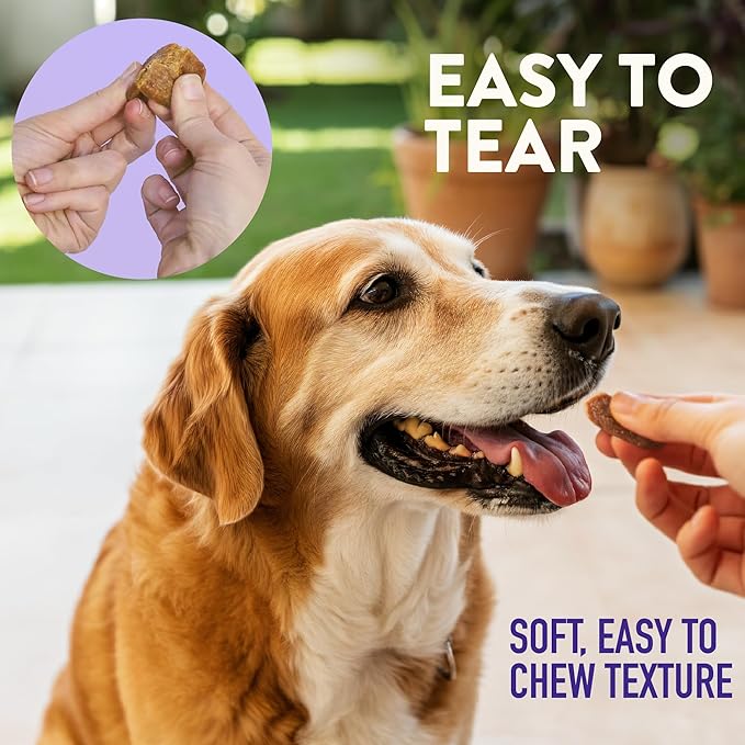 Dogswell Lifestage Senior Treats Mini Soft Strip Duck, 10 oz. Bag
