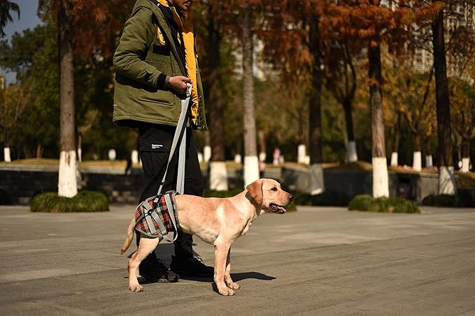 ROZKITCH Dog Lift Harness, Grid Pet Rear Support Aid Veterinarian Approved Sling for Old K9 Help With Poor Stability, Back Leg Hip Disabled Joint Injury Elderly Arthritis ACL Rehabilitation Rehab