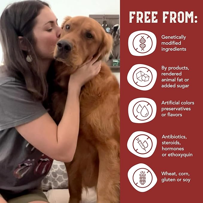 Health Extension Bison & Fish Dehydrated Jerky Dog Treats – 14 oz – Protein-Rich, Grain-Free, Made in USA – Limited Ingredients for Sensitive Dogs & Training Rewards