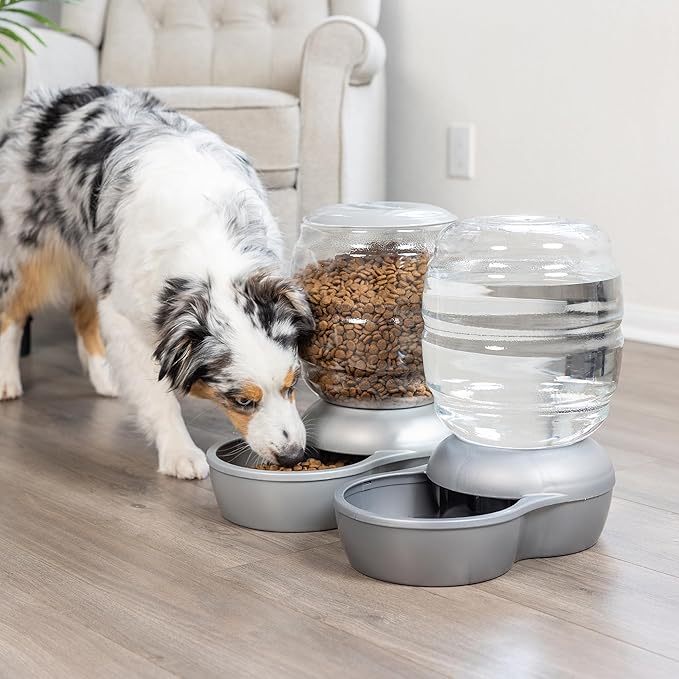 Petmate Replendish Automatic Gravity Waterer for Cats and Dogs, BPA-Free, No Batteries Required, Includes Charcoal Filter, 4 Gallons,Green, Made in USA
