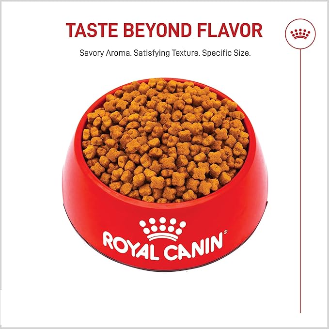 Royal Canin Breed Health Nutrition German Shepherd Puppy Dry Dog Food, 2.5 lb