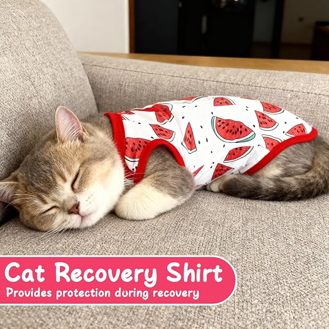 6 Pack Recovery Suit for Cats, Breathable Female and Male Onesie Cat Recovery Suit E Collar Alternative Pajama for After Surgery Spay Abdominal Skin Anti Licking(Medium)