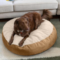 JAXX Robbi Dog Bed Bean Bag – Round Bed with Machine Washable Cover and No-Slip Base - Supportive Memory Foam for Senior Dogs & Joint Pain Relief - Ultimate Comfort & Luxury - Medium, Cloud/Beige