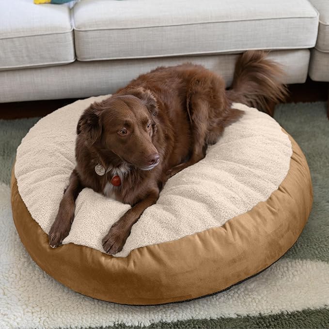 JAXX Robbi Dog Bed Bean Bag – Round Bed with Machine Washable Cover and No-Slip Base - Supportive Memory Foam for Senior Dogs & Joint Pain Relief - Ultimate Comfort & Luxury - Medium, Cloud/Beige