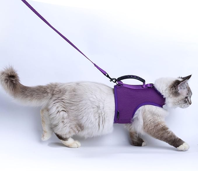 Kitty Harness and Leash for Walking Escape Proof Breathable Mesh Fabric, Purple, Small, Adjustable Cat Walking Jackets with Handle, Padded Stylish Cat Vest