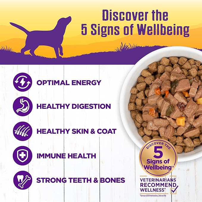 Wellness Complete Health Grain Free Canned Wet Dog Food, Turkey & Duck Stew, 12.5-Ounce Can (Pack of 12)