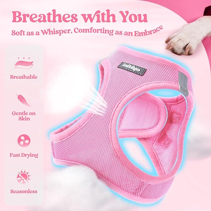rabbitgoo Dog Harness Small Sized and Leash Set, Step in Soft Light Puppy Vest, Breathable Mesh Pet Harness, Reflective for Safe Easy Walking, Light Pink S