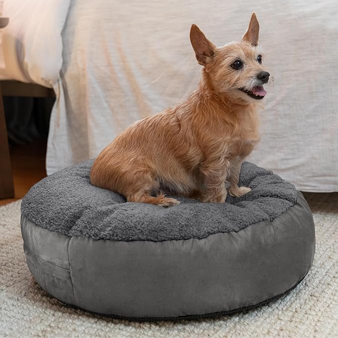 JAXX Robbi Dog Bed Bean Bag – Round Bed with Machine Washable Cover and No-Slip Base - Supportive Memory Foam for Senior Dogs & Joint Pain Relief - Ultimate Comfort & Luxury - Small, Grey/Charcoal