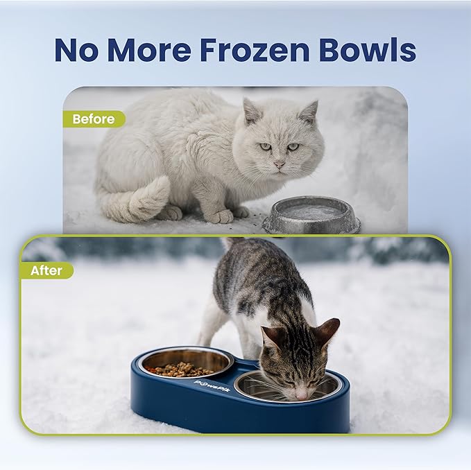 PawsPik Heated Water Bowl for Cats, 18/8 Stainless Steel Heated Pet Bowl, Outdoor Cat Bowl in Winter, Blue, 3 Cups