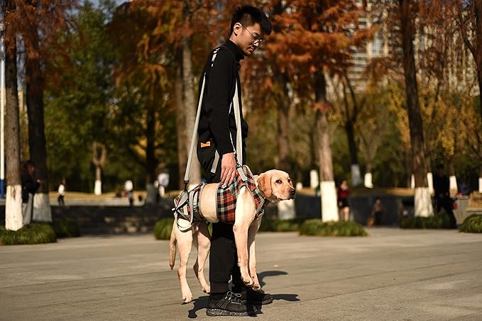 ROZKITCH Shoulder Belt Strap for Dog Lift Harness, Grid Pet Chest Rear Support Aid Veterinarian Approved Sling for Old K9 Help with Poor Stability 1 * 79 inch