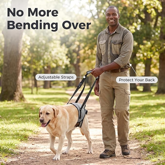 Dog Rear Leg Support Harness – Adjustable Mobility Sling for Senior Disabled Injured Dogs, Hip Joint Lift Harness for Small Medium Large Dogs, Padded Handle, Breathable & Easy to Use (M)