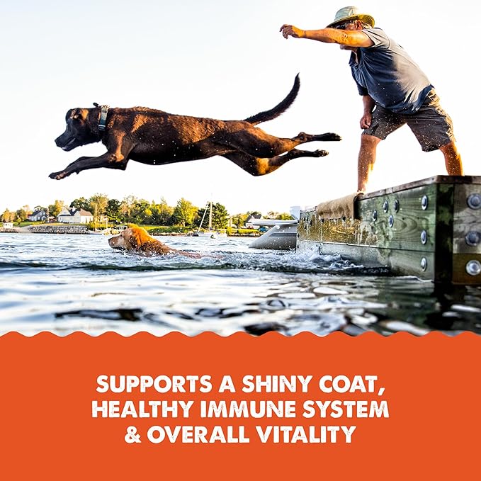 Grizzly Salmon Oil Cat Food Supplement Omega 3 Fatty Acids, 4 oz