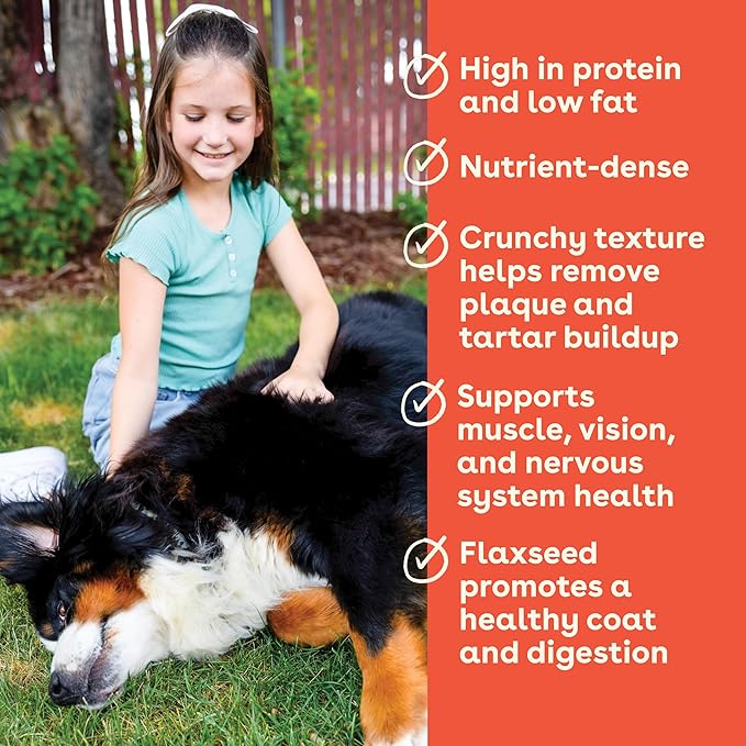 Pupford Crunchies, All-Natural, Healthy, Freeze Dried Treat for Dogs & Puppies (Chicken & Sweet Potato, 8 oz)