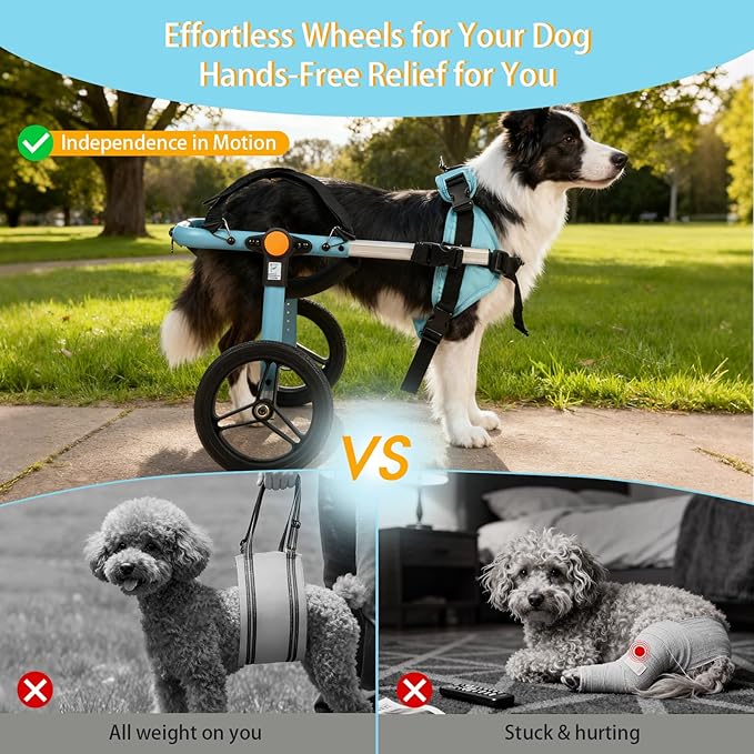 TailWaggers Dog Wheelchair for Back Legs | Adjustable Mobility Aid | All-Terrain Wheels
