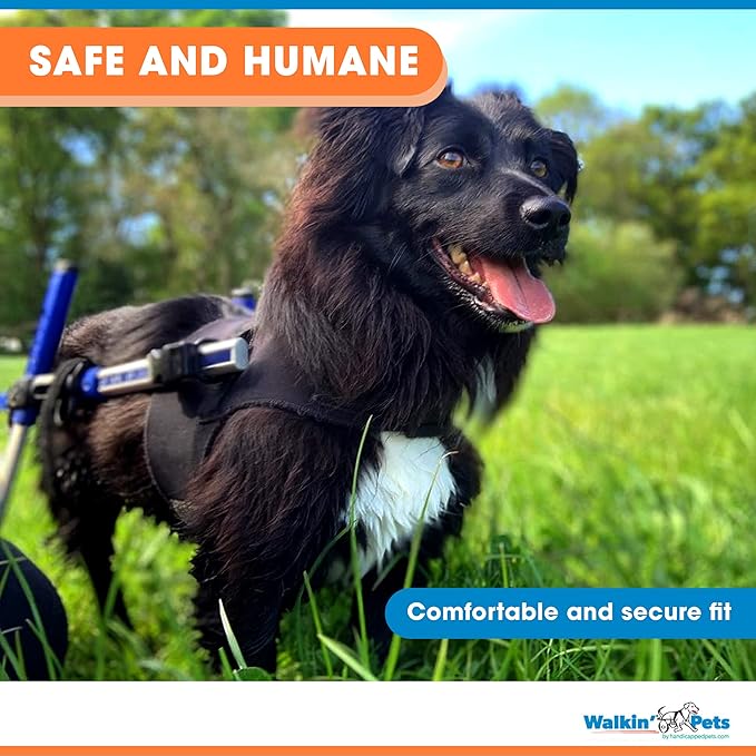 Front Dog Vest Harness | No Pull Harness | Designed for Small Dogs with Broad Chests | Compatible with Dog Wheelchair