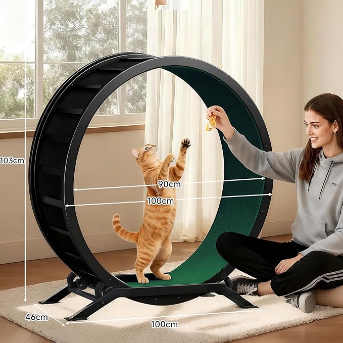 GTRACING Cat Wheels, 40" Diameter, Large Cat Exercise Wheel for Indoor Cats cat Treadmill Metal with Detachable Carpet & Teaser/Stickers, Ultra-Quiet Scroll Wheel with Latch, Safe and Stable, Green