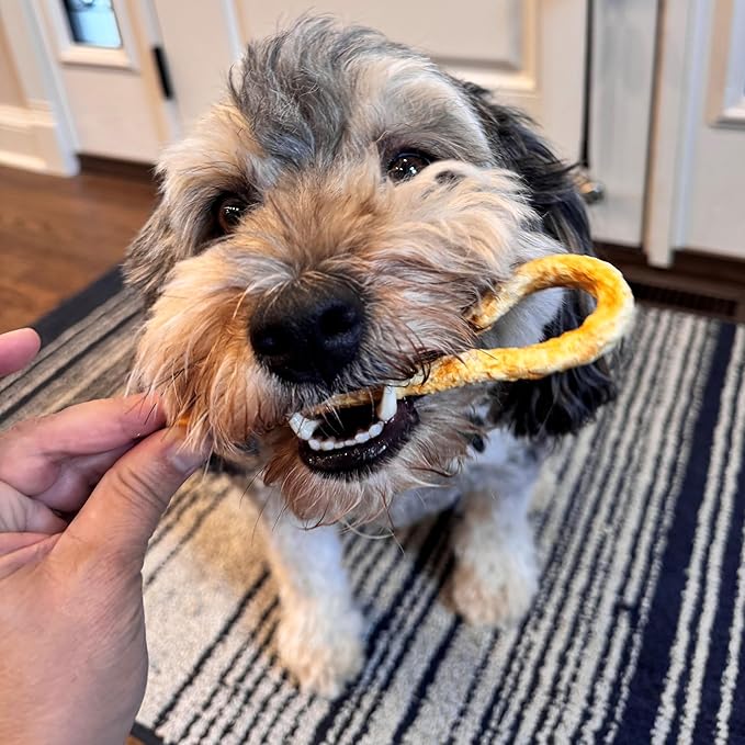 Fieldcrest Farms Nothin' to Hide Mini Holiday Candy Cane Beef Flavor Dog Chews, Rawhide-Free, Easily Digestible, Long-Lasting, All-Natural Treats for Moderate Chewers up to 15lbs, 6-Ct