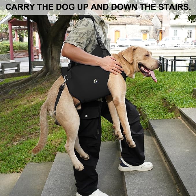 Coodeo Dog Lift Harness, Pet Support & Rehabilitation Sling Lift Adjustable Padded Breathable Straps for Old, Disabled, Joint Injuries, Arthritis, Loss of Stability Dogs Walk (Black, L)