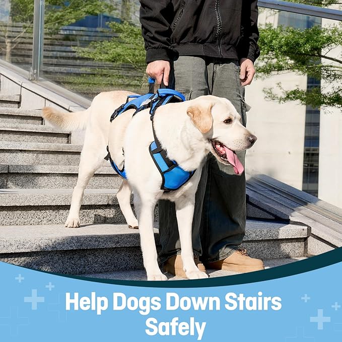 Dog Lift Harness for Large Dogs, Full Body Support Sling with 3 Handles and Shoulder Strap, Carrying Vest for Senior Dogs with Arthritis or Joint Injuries, Stairs Assistance, Blue, Large