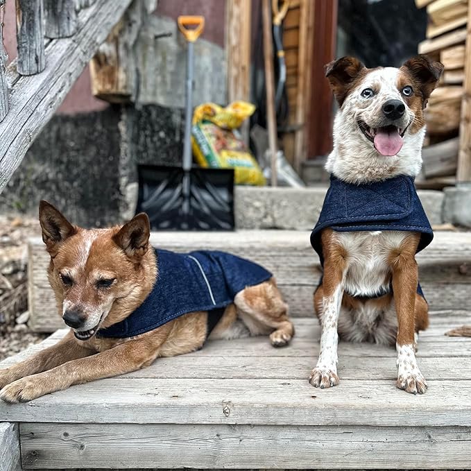 Carhartt Firm Duck Dog Chore Coat, Insulated Weather Resistant Jacket for Cold and Windy Conditions, Denim, Medium