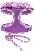 EXPAWLORER Cute Dog Harness and Leash Set - Purple Girl Dog Harness Checkered Step-in Design, Easy Adjustable No-Choke Lightweight Breathable Vest for Small Medium Dogs Outdoor Walking, Medium