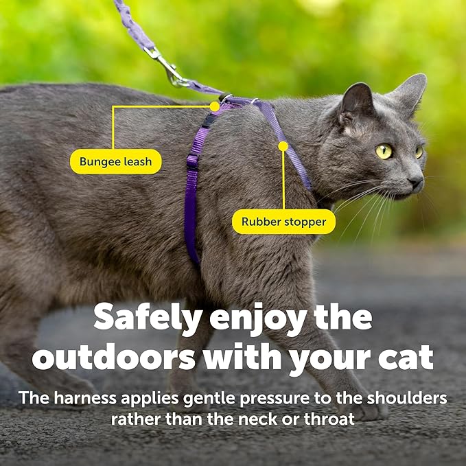 PetSafe Come With Me Kitty Cat Harness & Bungee Leash - Comfortable Cat Harness with Lightweight Bungee Leash for Outdoor Fun - More Secure Walks - Large - Lilac