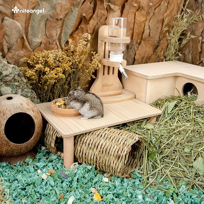 Niteangel Hamster Play Wooden Platform for Dwarf Syrian Hamsters Gerbils Mice Degus or Other Small Pets (10.2 L x 7 W -5.9'' Height, Burlywood)