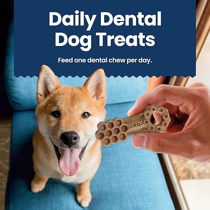 Blue Buffalo Dental Chews Medium Natural Dog Treats, Chicken & Spearmint 34.5-oz Bag (42 Count)