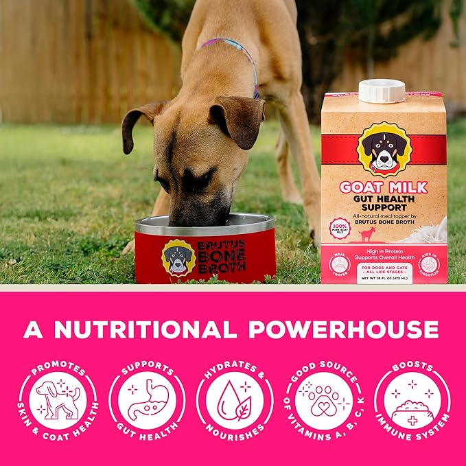 Goat Milk by Brutus Broth Meal Topper for Dogs and Cats – Formulated for Digestive Support & Moisture, Low-Lactose, Contains Natural Nutrients and Enzymes (Pack of 6)