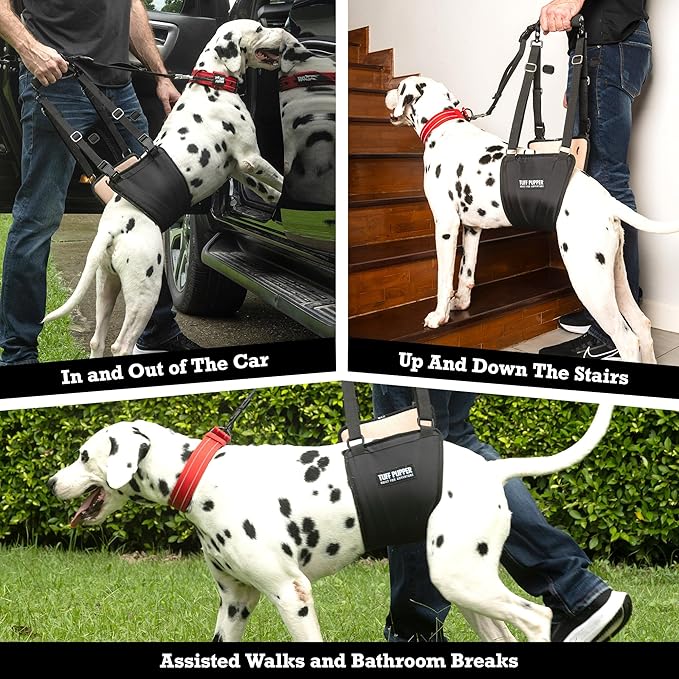 Tuff Pupper Dog Sling Hip Harness | Rear Lift Support for Senior & Injured Dogs | Adjustable Mobility Aid | Strong Padded Handle | Comfortable Design | Hip & Hind Leg Assistance (Large, Female)
