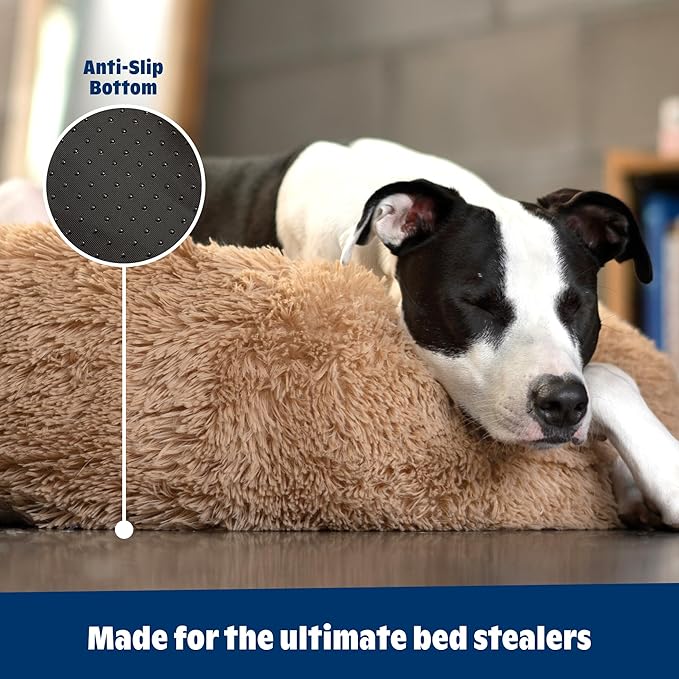Barkbox Dog Bed, 2-in-1 Memory Foam Donut Cuddler Dog and Cat Bed, Calming Orthopedic Joint Relief Fur Crate Lounger for Pets, Machine Washable + Removable Cover, Waterproof Lining, Includes Toy