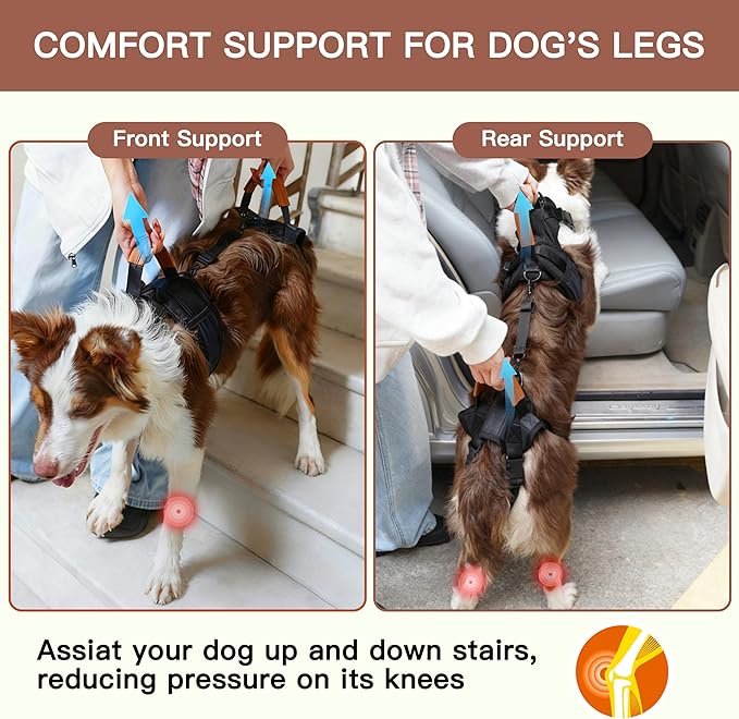 Dog Lift Harness, Full Body Dog Harness with Handle for Lifting, Front/Back Leg Support, Prevent Chafing Pee-Able Design, 2-in-1 Detachable Dog Assist Harness for Senior Disabled Dogs Up to 55lb