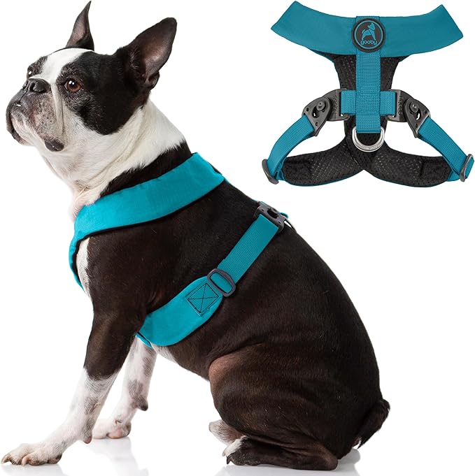 Gooby Comfort X Harness Dual Snap - Turquoise, Small - No Pull Dog Harness with Rotational Buckles and Patented Choke-Free X Frame