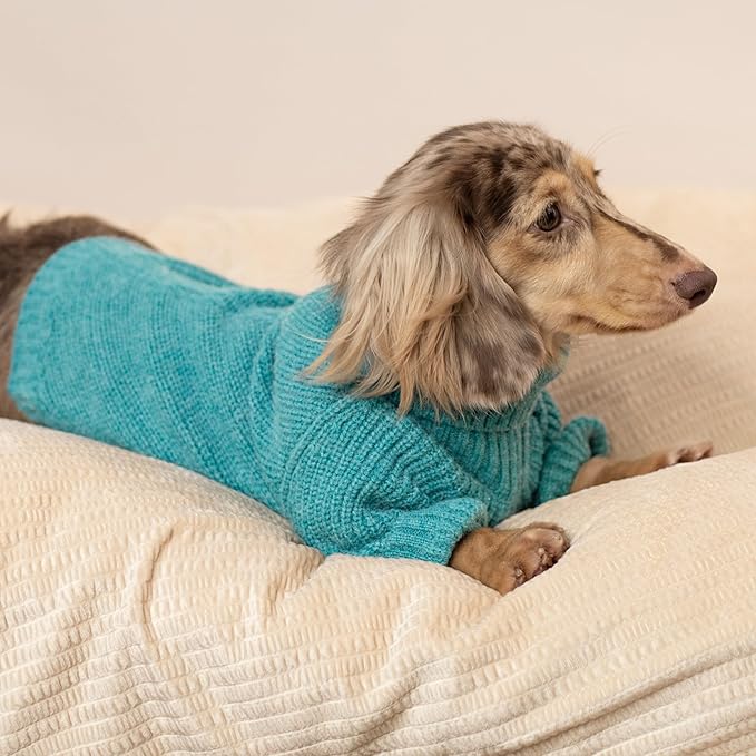Fitwarm Turtleneck Dog Knitted Sweater, Thermal Winter Clothes for Small Dogs, Boy & Girl, Dog Sweater Pullover Jumper, Pet Outfit, Teal Blue, Large