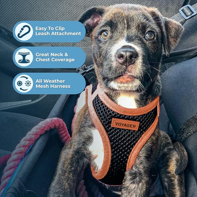 Voyager Step-in Air All Weather Mesh Harness and Reflective Dog 5 ft Leash Combo with Neoprene Handle, for Small, Medium and Large Breed Puppies by Best Pet Supplies - Black, Small